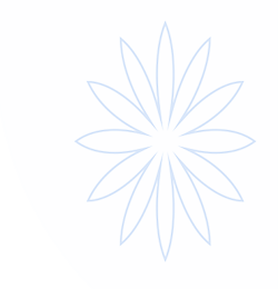 星空体育